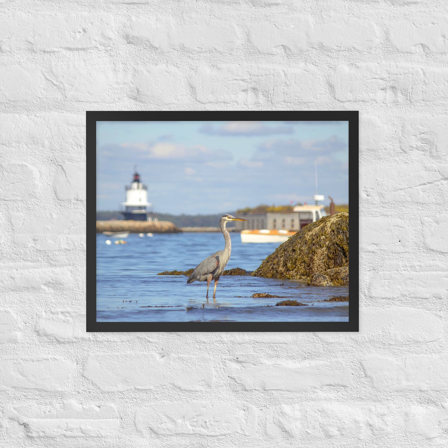Great Blue Heron at Spring Point Light Photo Print