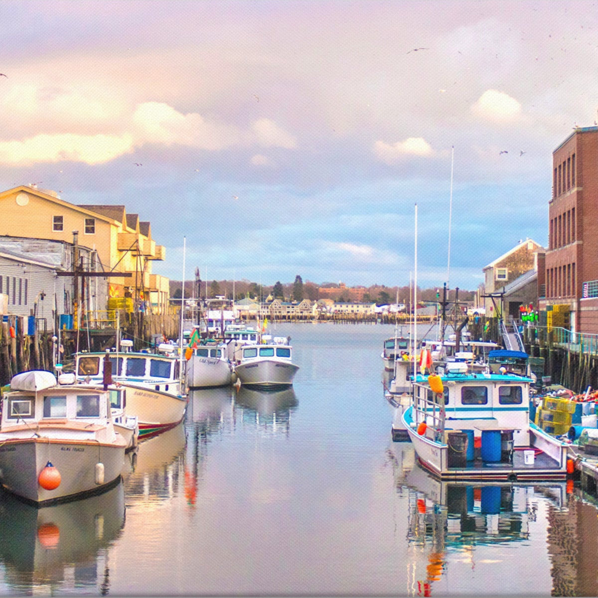 Lobster Boats at Portland Pier Photo Print