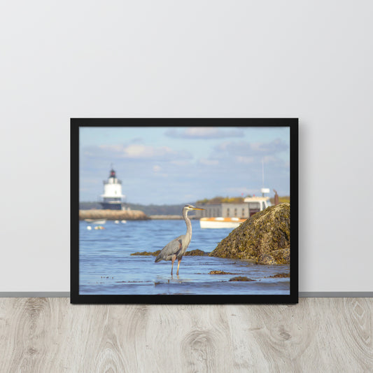 Great Blue Heron at Spring Point Light Photo Print